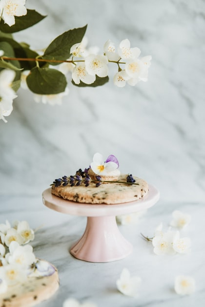 The Art of Cake Decorating